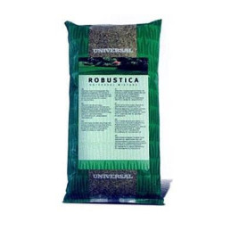 Vejų sėklos DLF Robustika, 1 kg