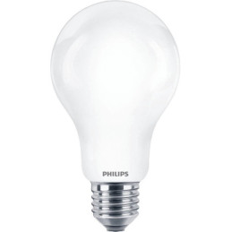 LED lemputė PHILIPS, A67, E27, 17,5 W, 2500 lm, 2700 K