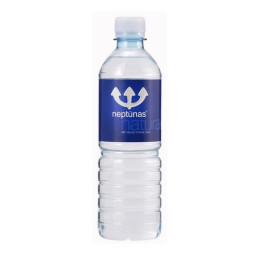 Natūralus mineralinis vanduo NEPTŪNAS, negaz., 500 ml